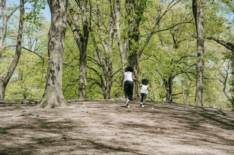 Spend Time in The Woods