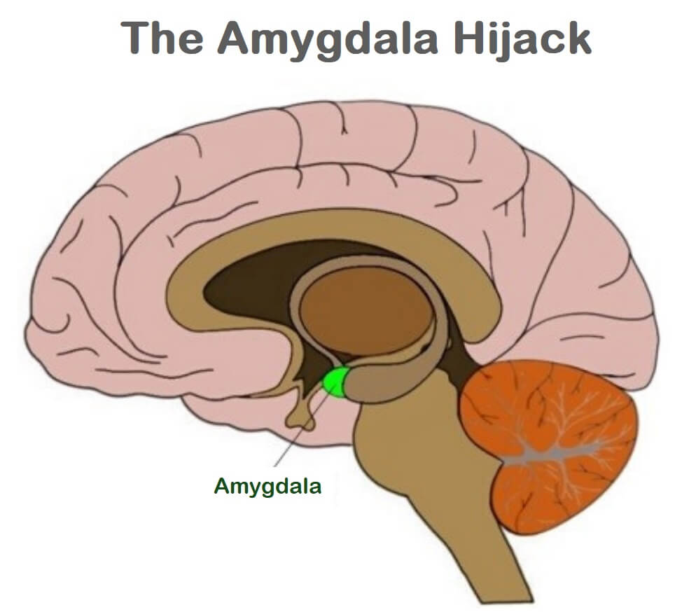 Behaviour and the Brain: Amygdala Hijack - London School of Childcare ...