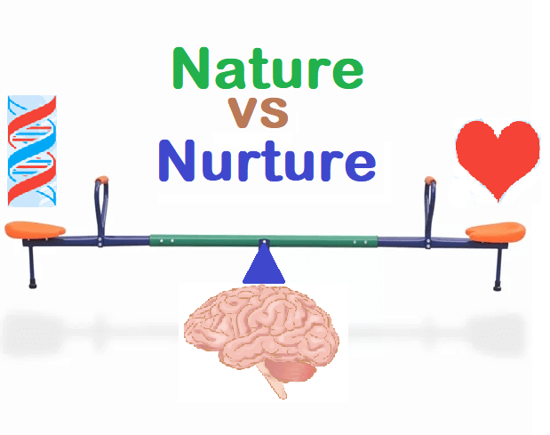 nature vs nurture in child development essay